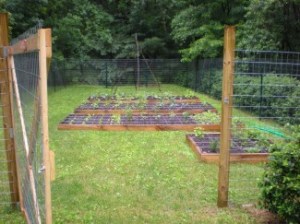 heading into the garden