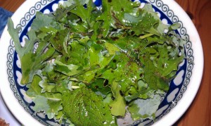 Homegrown Baby Kale Salad