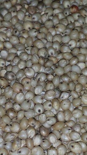 20130827_092009.jpg image