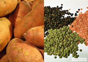 Collage 2018-03-22 11_07_32